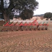 Principales tipos de fertilizantes en agricultura