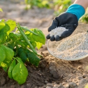 ¿Cuáles son los tipos de fertilizantes?