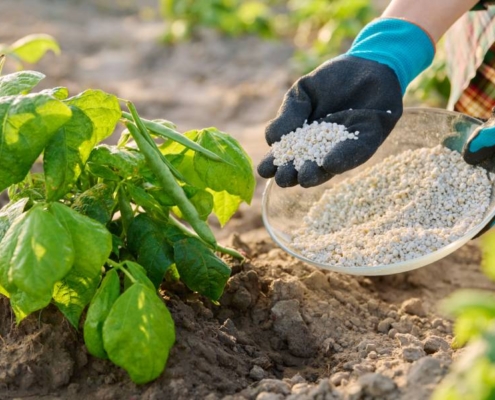 ¿Cuáles son los tipos de fertilizantes?