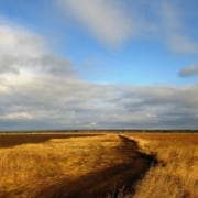 Cómo se debe arar la tierra antes de cultivarla