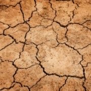 Consecuencias de las sequías en la agricultura