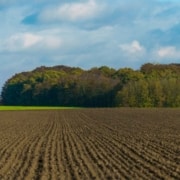 Importancia del color del suelo agrícola