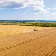 qué es la agricultura de tráfico controlado