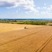 Cómo preparar la tierra para el otoño