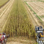 Beneficios de comprar cultivadores de segunda mano