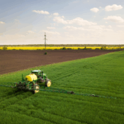 ¿En qué se diferencian la agricultura intensiva y la extensiva?