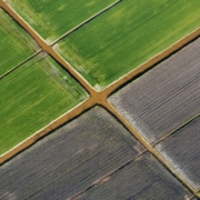 mejores suelos para la agricultura