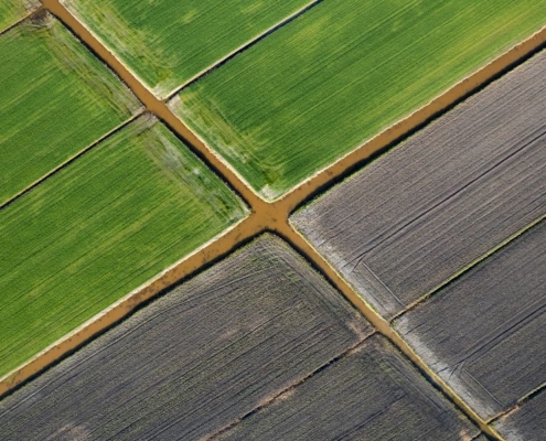 mejores suelos para la agricultura
