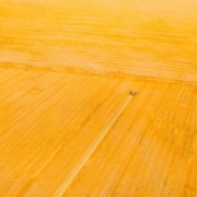 que es la siembra directa