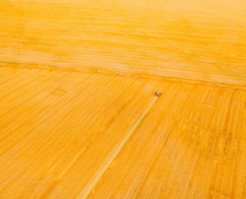 que es la siembra directa