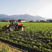 quien cobra la pac arrendador o arrendatario