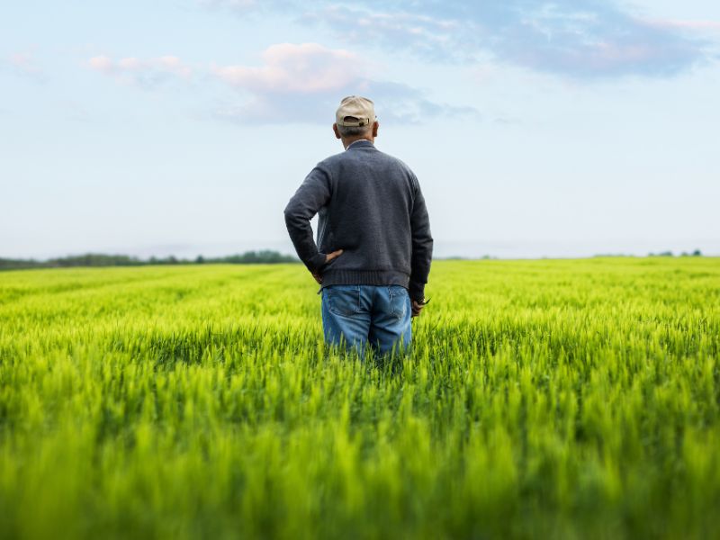 Diferencia entre agricultor activo, agricultor profesional y autónomo agrario