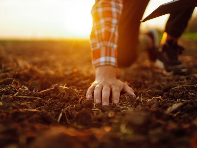analizar el acabado que necesita el terreno agricola